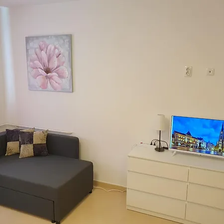Podbara Center Apartment Novi Sad Exterior photo
